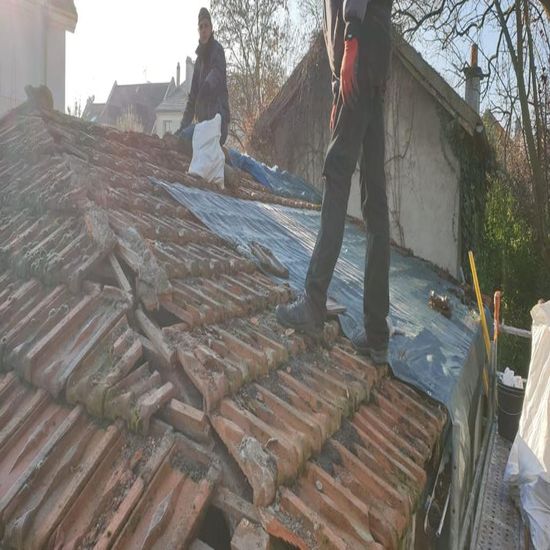 Démoussage de toiture à Le Plessis-Trévise dans le Val de Marne dans le (94) et en Ile de France